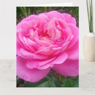 Carte Rose romantique 'Léonard de Vinci'