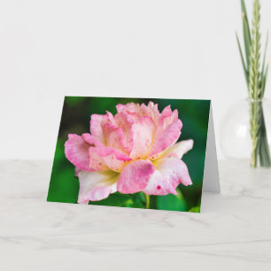 Carte Rose rose
