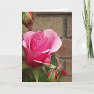 Carte Rose rose avec briques