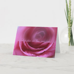 Carte rose rose douce dia de las madres