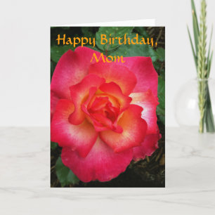 Carte Rose rose/orange