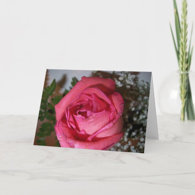 Carte Rose rose rose (Devant)