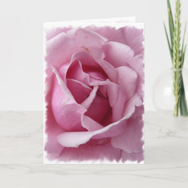 Carte Rose rose rose (Devant)
