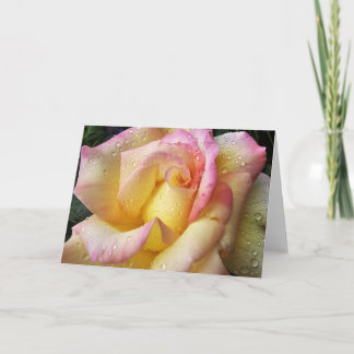 Carte rose rosée