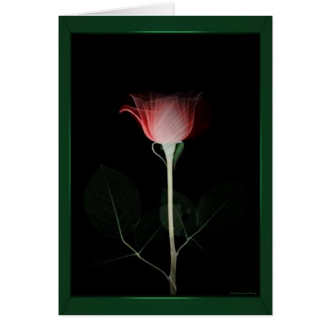 Carte Rose rouge (Devant)