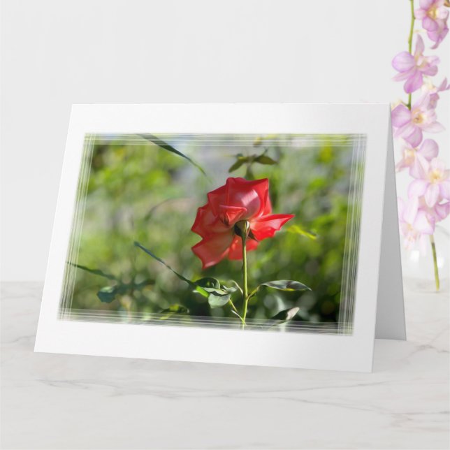 Carte Rose rouge (Orchidée)