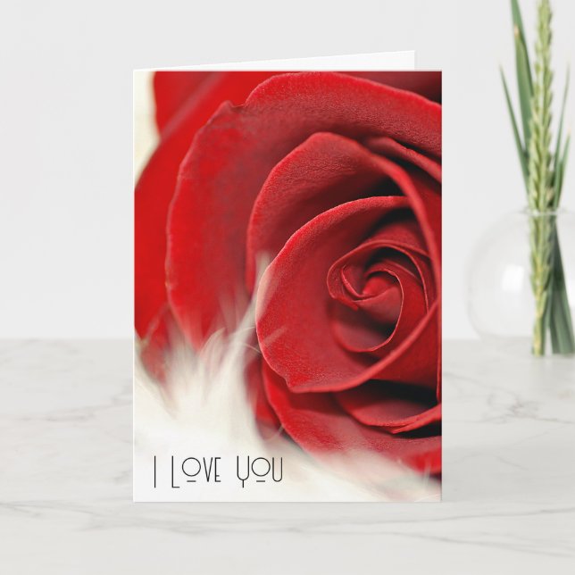 Carte Rose Rouge Anniversaire À La Fourrure (Devant)