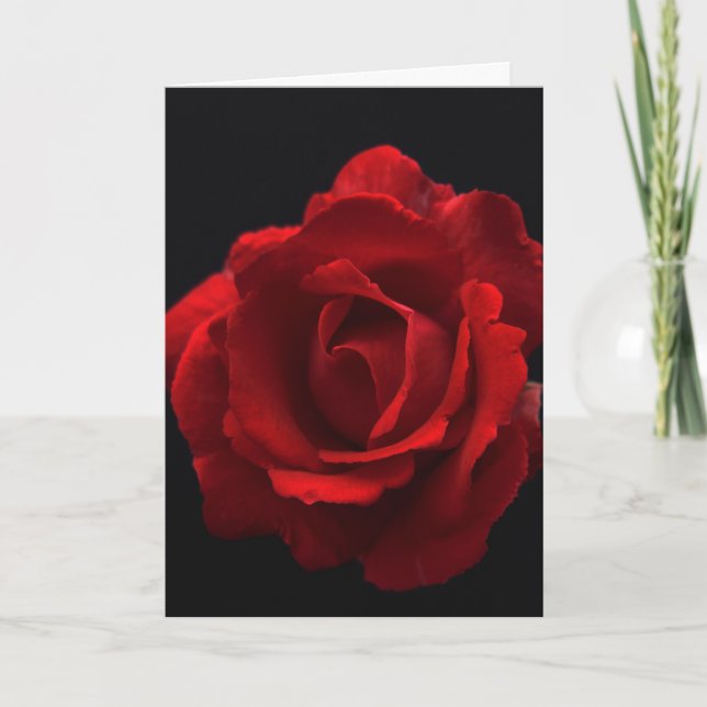 Carte Rose rouge gccnm (Devant)