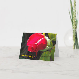 Carte Rose rouge - Pensez à vous - CA GardensCard