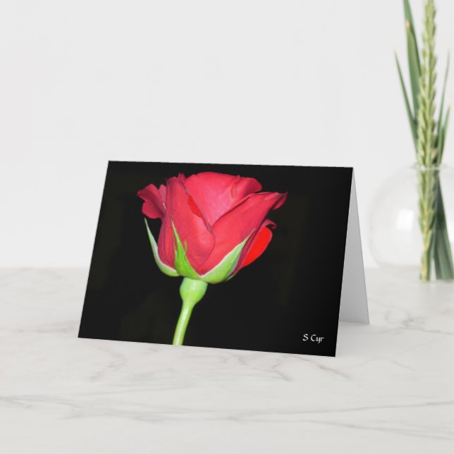Carte Rose rouge rouge (Devant)