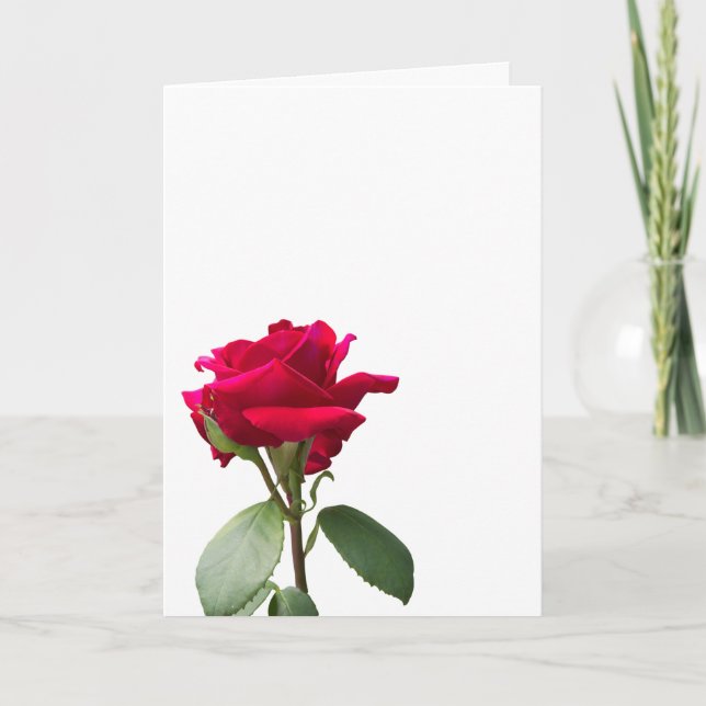 Carte Rose rouge unique (Devant)
