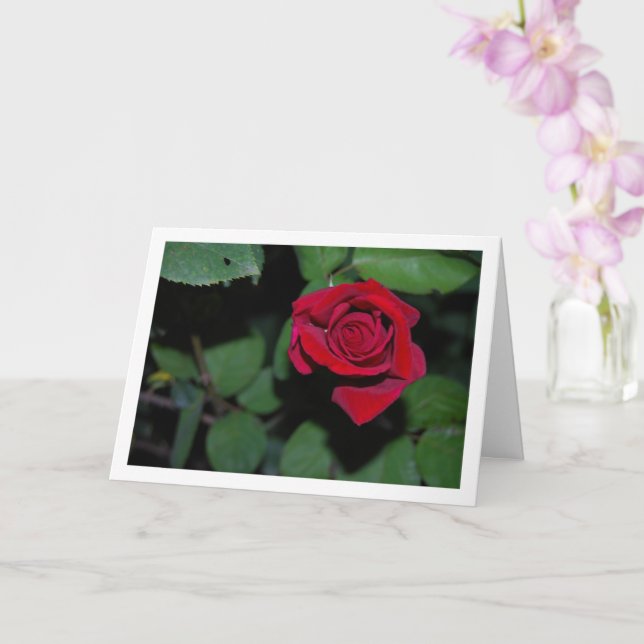 Carte Rose rouge unique et feuilles vertes (Orchidée)