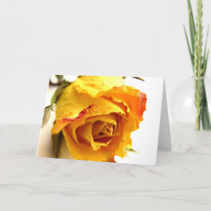 Carte Rose Simple