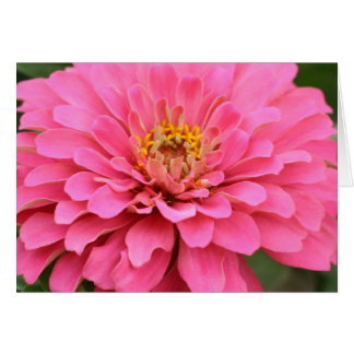 Carte rose universelle de fleur