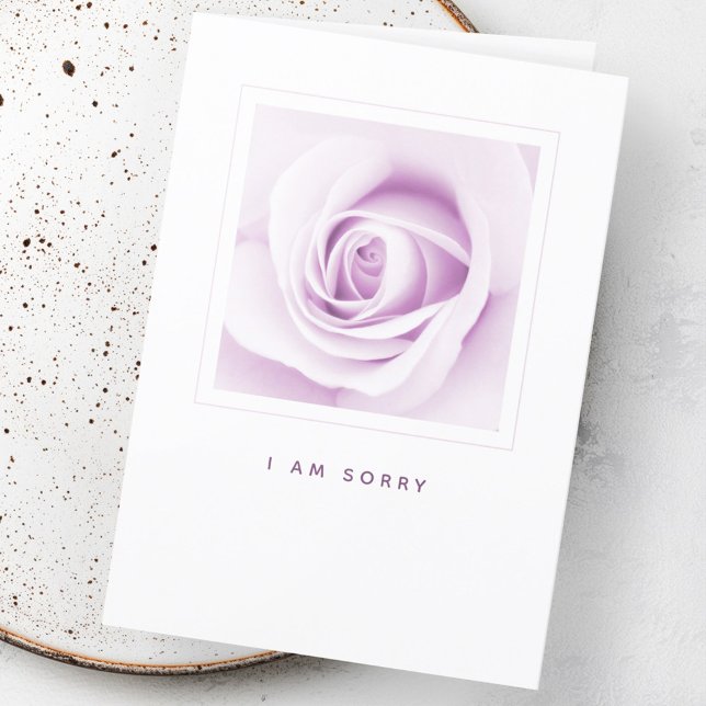 Carte Rose violette Je suis désolé excuses pliées (Purple rose I am sorry apology folded Card)