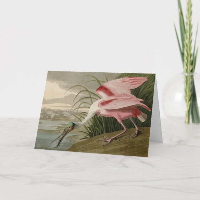 Carte Roseate Spoonbill from Audubon's Birds of America (Devant)