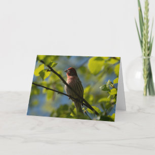 Carte Roselin familier Joyeux Noël