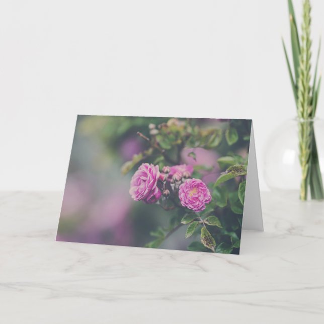 Carte Roses de choux (Devant)