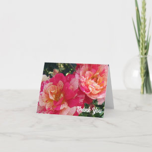 Carte Roses Rayées Roses Blanches 4" x 5.6" Merci