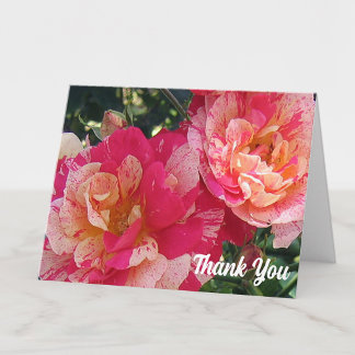 Carte Roses Rayées Roses Blanches 4" x 5.6" Merci