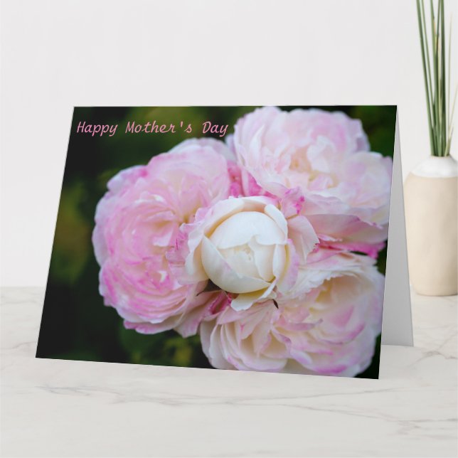 Carte Roses roses (Devant)