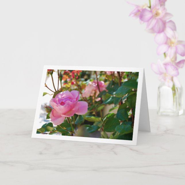 Carte Roses roses (Orchidée)