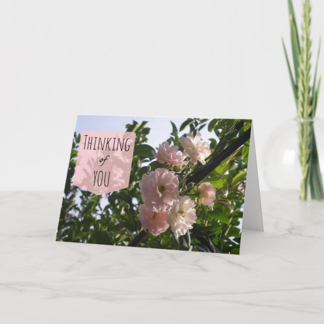Carte Roses roses Pink Pensez à vous (Devant)