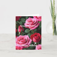 Roses roses rouges roses pour l'anniversaire d'une
