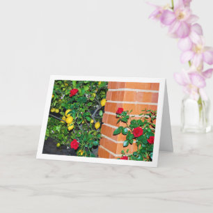 Carte Roses rouges et citrons