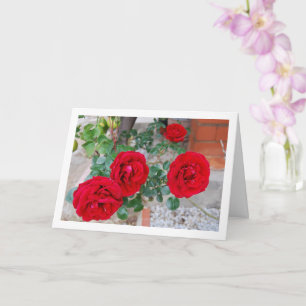 Carte Roses rouges florales vibrantes