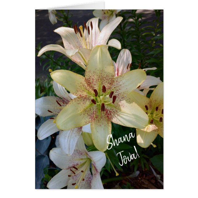 Carte Rosh Hashanah Fleurs Jaunes Speckées (Devant)