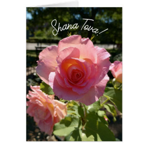 Carte Rosh Hashanah Rose de thé rose radiant
