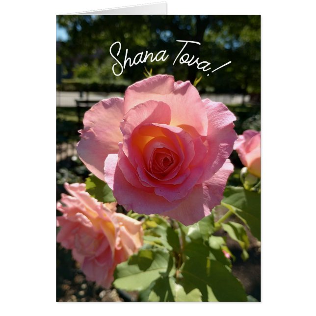 Carte Rosh Hashanah Rose de thé rose radiant (Devant)