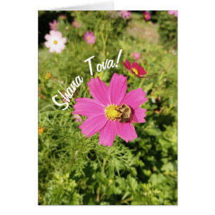 Carte Rosh Hashanah Vivid Rose Cosmos