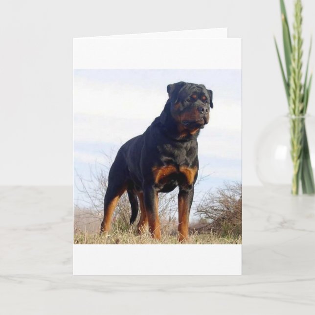 Carte Rottweiler (Devant)