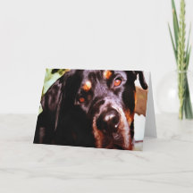 Rottweiler Artistic Pet