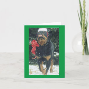 Carte rottweiler de noël avec foulard à chapeau de santa