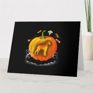 Carte rottweiler dog pumpkin costume halloween