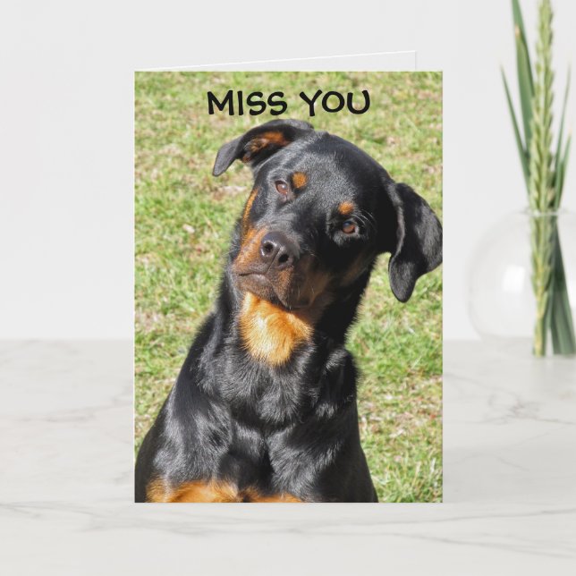 Carte Rottweiler Get Well Bientôt (Devant)