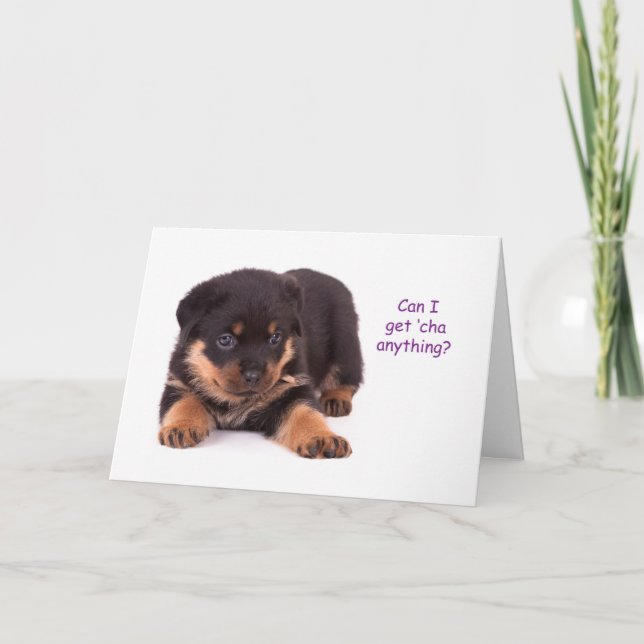 Carte Rottweiler Puppy Get Well Card (Devant)