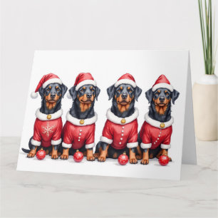 Carte Rottweiler tenue de Noël chapeau de Père Noël