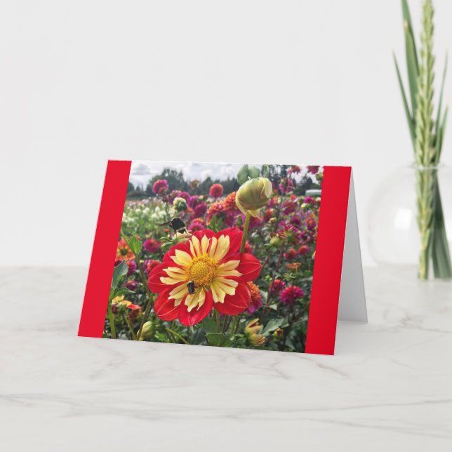Carte Roues Dahlia (Devant)