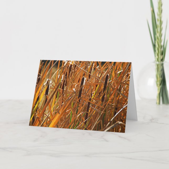 Carte Roues d'automne numéro 6 (Devant)