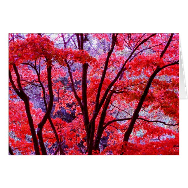 Carte rouge automne (Devant horizontal)