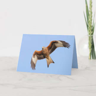 Carte rouge de cerf-volant