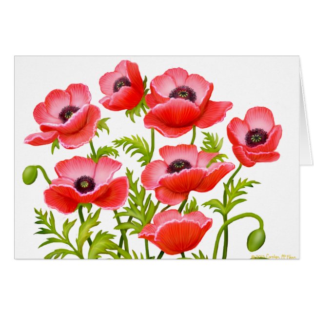 Carte rouge de pavots cultivés (Devant horizontal)
