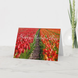 Carte rouge du jour de mère de champ de tulipe