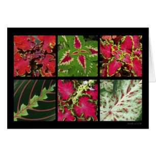 Carte rouge et verte de feuillage