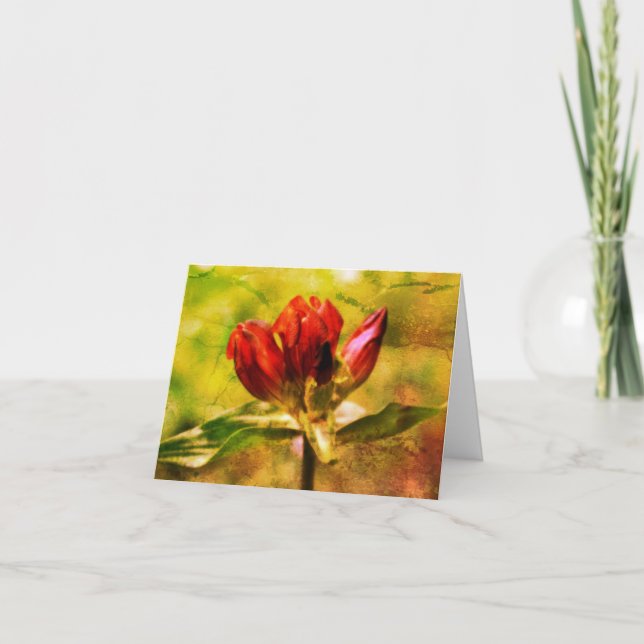 Carte rouge Gentien Floral Art Note (Devant)
