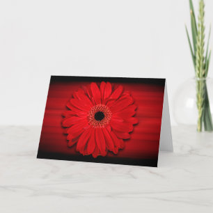 Carte Rouge Gerber Daisy Personnalisable Blanc à l'intér